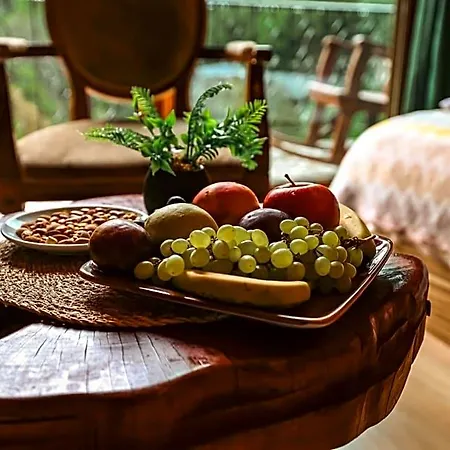 Bungalove Tatil Koeyue מלון